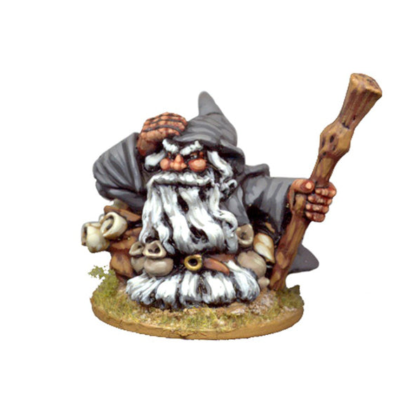 Swashbuckler Dwarves