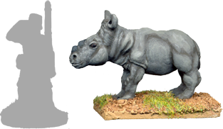 GPR042 - Rhinoceros Calf