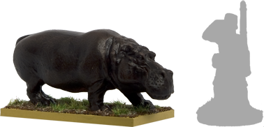 GPR062 - Hippo