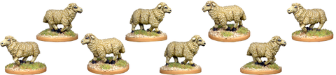 GPR066 - Flock of sheep